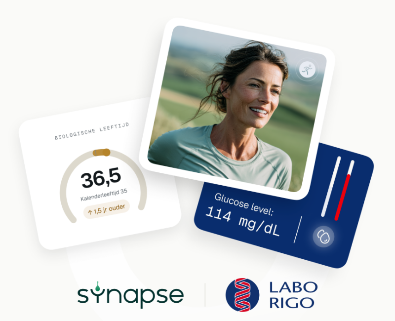 Synapse-Rigo1